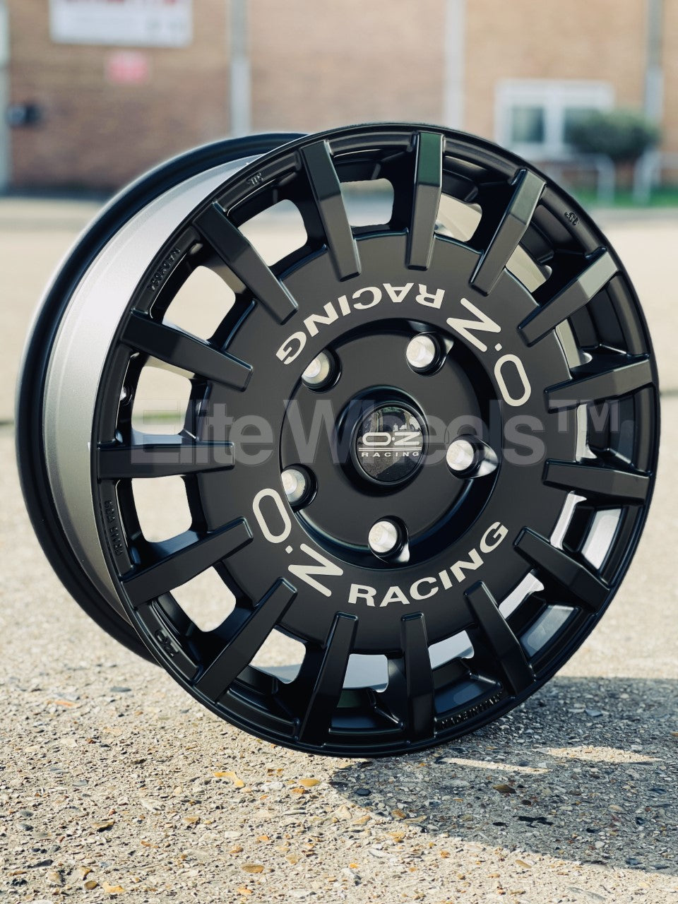 18" Ford Transit Custom OZ Rally Racing Van Matt Black